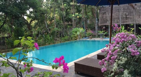 Studio Lumbung  Apartment in Buleleng