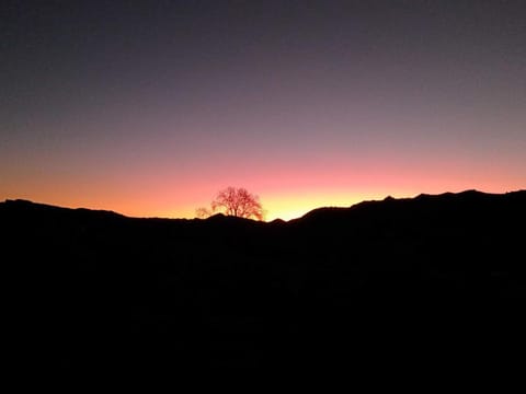 Karamu Homestead - Our Slice of Bliss Apartment in Waikato