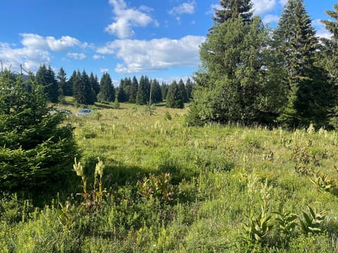 Vila Oaza Mira Raska Villa in Serbia