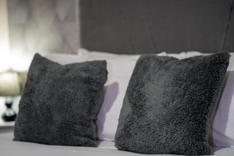 Baxter House Apartment in Boston