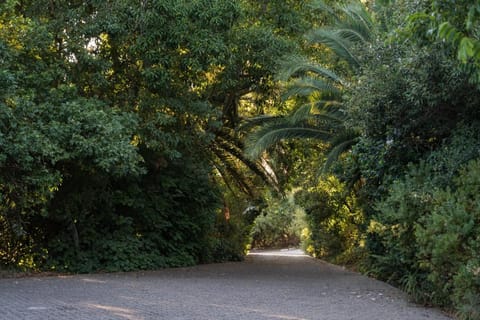 Avemore Olive Apartment - full Backup power Apartment in Stellenbosch