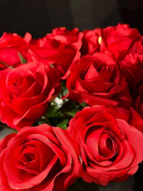 Suite Rouge baiser - Spa balnéothérapie Apartment in Saint-Étienne