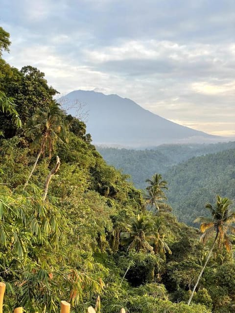Avana Curve Cliffside Bamboo Villa with Pool Villa in Sidemen
