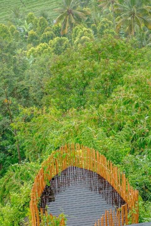 Avana Curve Cliffside Bamboo Villa with Pool Villa in Sidemen