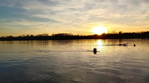 spacious garden home Apartment in Vojvodina