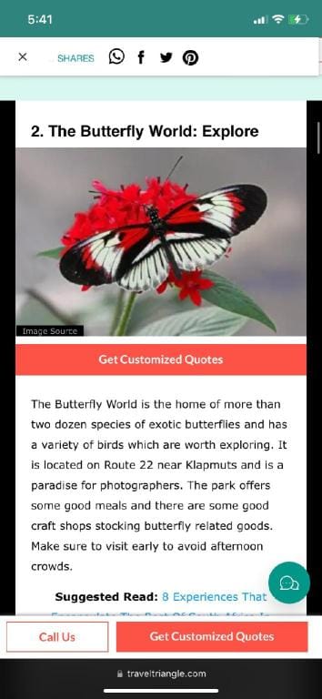 Skinny Expat Apartment in Cape Town