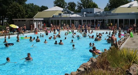 Bungalow in Limburg with Private Playground Villa in Roggel