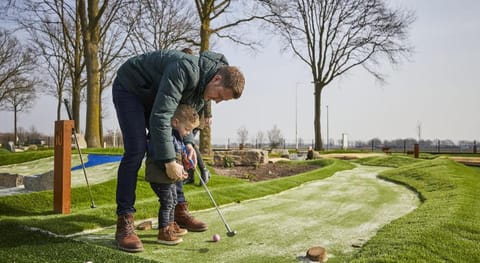 Bungalow in Limburg with Private Playground Villa in Roggel