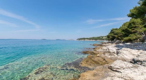 Apartments Sunce Apartment in Murter