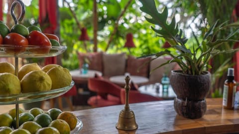 Firefly EcoLodge Hotel in Ubud