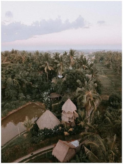 Firefly EcoLodge Hotel in Ubud