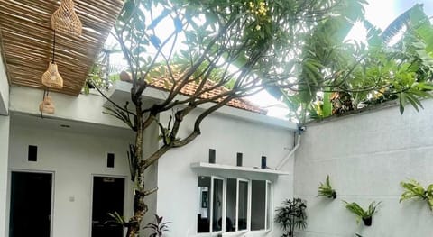 Best Canggu Hostel Hostel in North Kuta