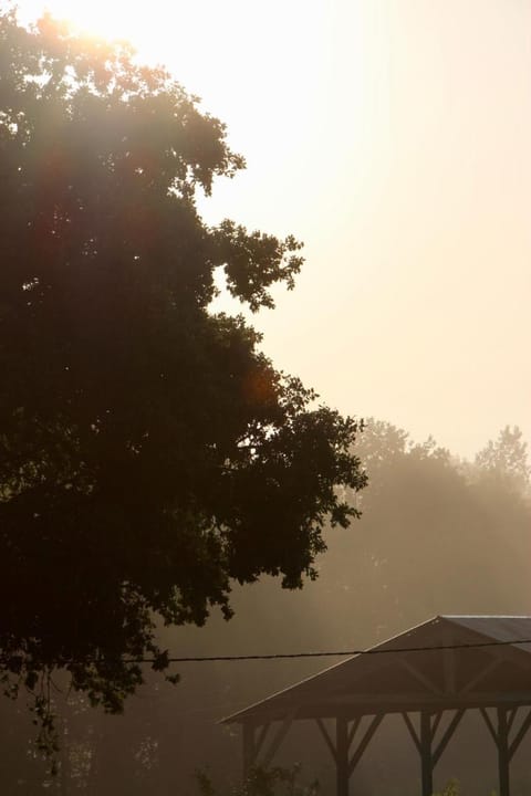 Gîte Pomme - Les Gîtes de la Lohuas Vacation rental in Brittany
