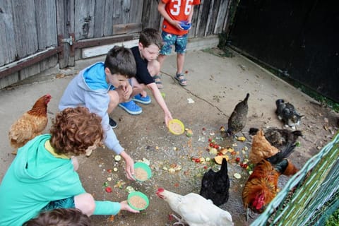 La Grande Maison - Les Gîtes de la Lohuas Vacation rental in Brittany