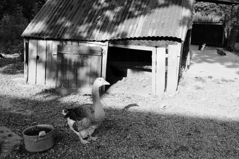 Gîte Poire - Les Gîtes de la Lohuas Vacation rental in Brittany