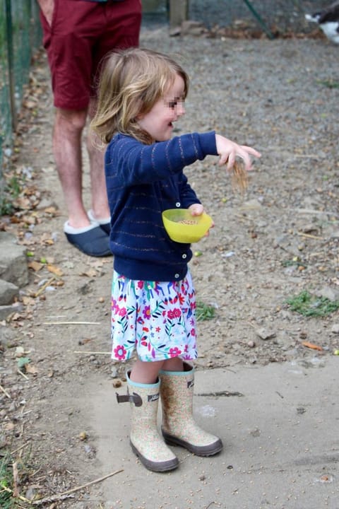 Gîte Fraise - Les Gîtes de la Lohuas Vacation rental in Brittany