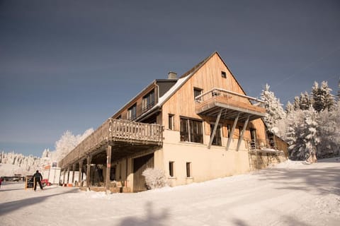 Terre de Sapins Apartment in Orbey