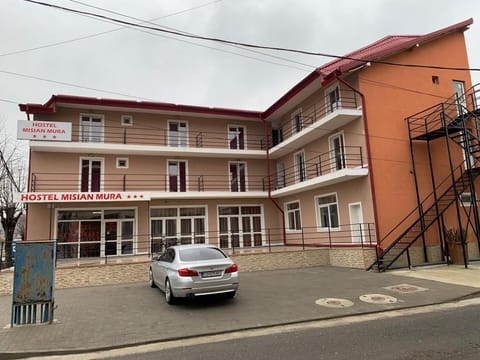 Hotel Misian Mura Nr 57 Villa in Timiș County