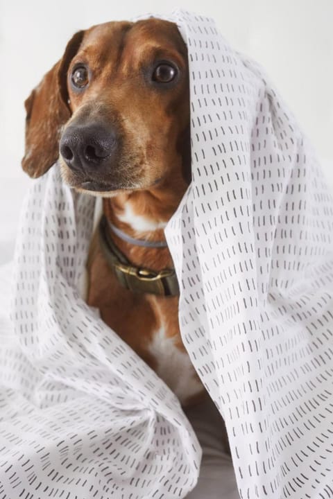 Hotel Levante St Julian's, Affiliated by Melia Hotel in Saint Julians