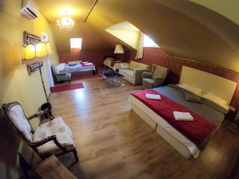 Vila Rossi Daily Rent Villa in Belgrade