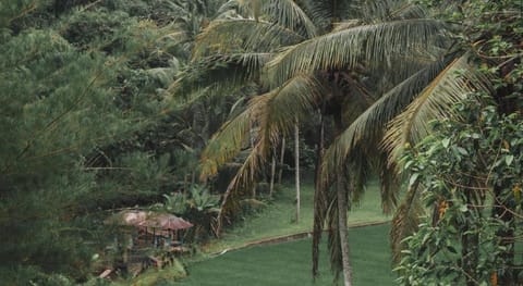 Tirta Sari Hotel in Tampaksiring