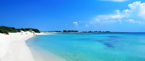 Grande Emerald Luxury Home Sea View Vacation rental in Porto Cesareo