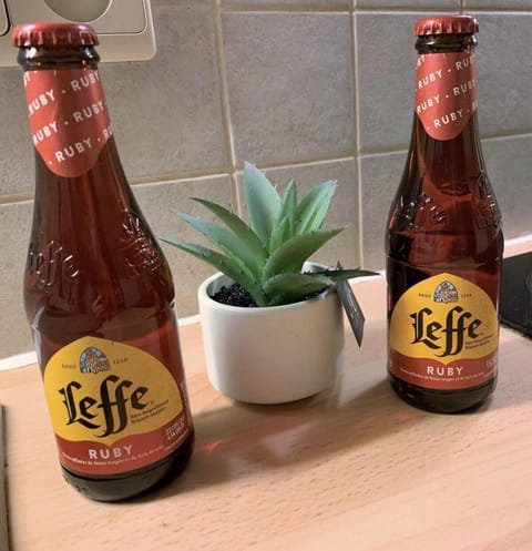 ARIZONA ❤ VACATION APARTMENTS IN DINANT❤ Apartment in Dinant