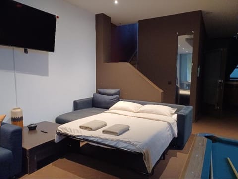 A8)GameRoom+Jacuzzi+Sauna+Terrace330m2Villa 20+ppl Vacation rental in Saint-Gilles