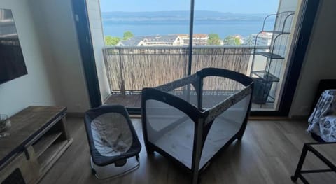 Le Turgot, proche thermes Apartment in Thonon-les-Bains