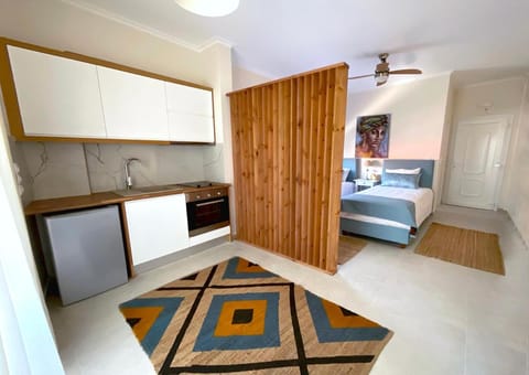 Beachfront 2-bed luxury suite - Agios Gordios Corfu Greece Apartment in Saint Gordios beach