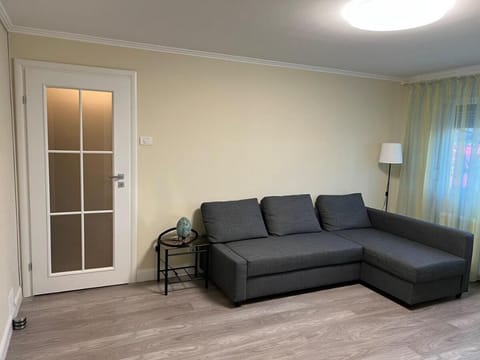 Premium Apartment Sagului Apartment in Timisoara