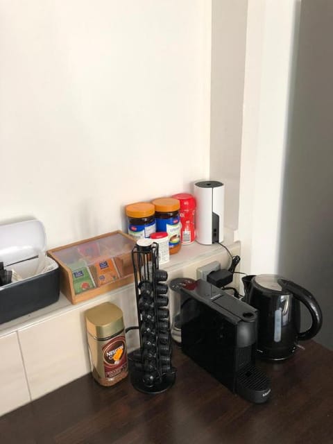 New TU Delft City Garden View Prins Room delta Apartment in Delft