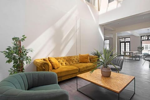 Crazy Zebra! Hotel in Cape Town