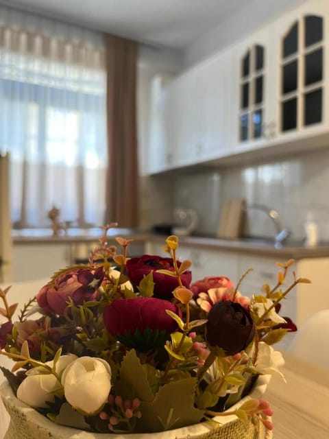 SaEl Apartments Apartment in Montenegro