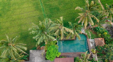 Uma Linggah Resort by Puri Signatures Resort in Tampaksiring