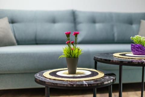 Geovukaj Apartments Vacation rental in Ulcinj