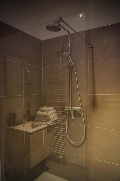 A Luxury Flat in Antwerp Apartment in Antwerp