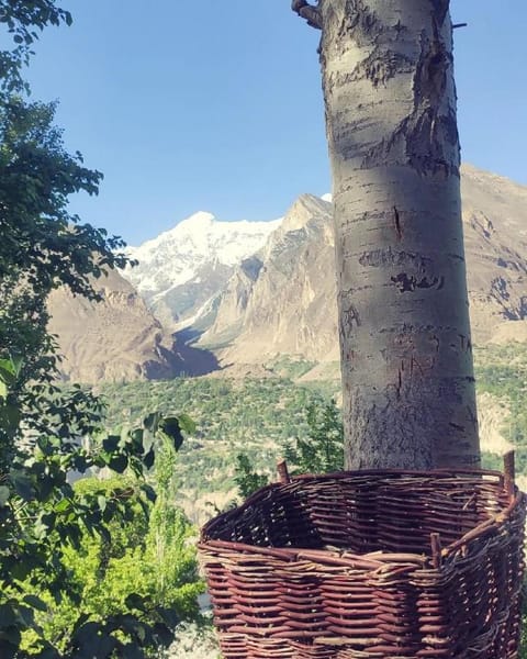 Property view