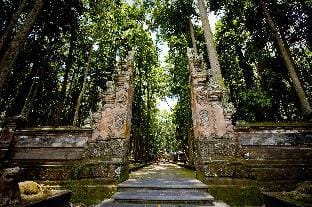 Romantice Villa With Rice field Private Pool #P8 Villa in Ubud