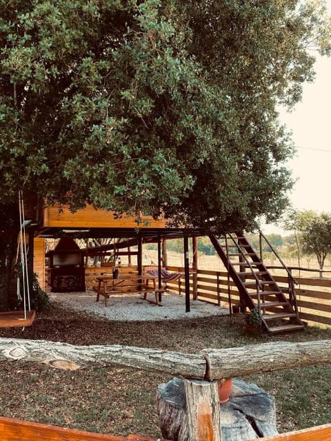 The Treehouse Of The Dragon Vacation rental in North Macedonia