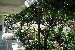 Green kiwi apartment Apartment in Ulcinj