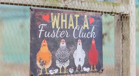 Canterburg Stables Hotel in Western Cape