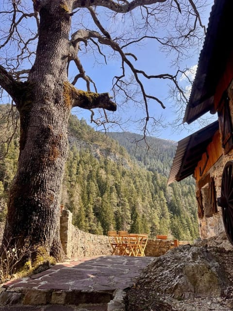 Maison Maralpine Vacation rental in Piedmont