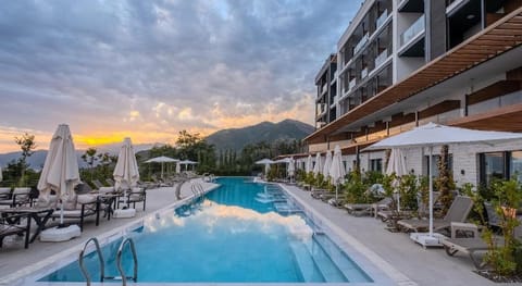 Montanegro Lodge Hotel & Spa Hotel in Kotor Municipality