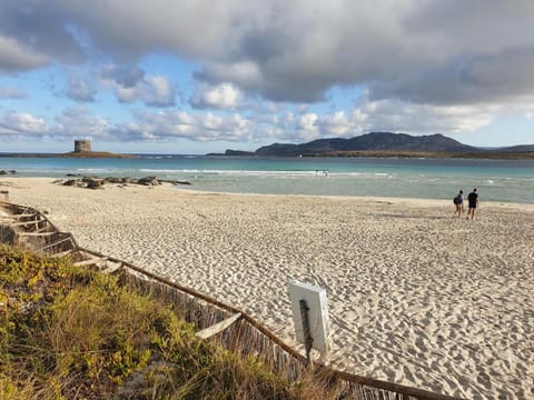 Charming Small Villa Bella villetta Sleeps 4 no pool Apartment in Sardinia