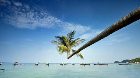 Villa Seaview Garden (2 bedroom, sleeps 4) Apt#2 Apartment in Ko Tao