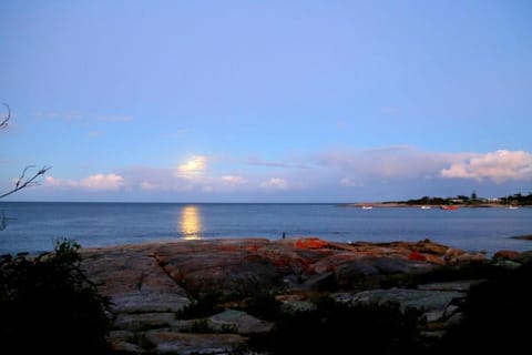 The House | Cod Rock Point Vacation rental in Bicheno