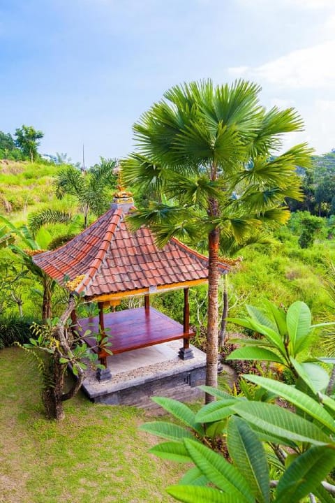 Beji Ayu Villas Sidemen Hotel in Sidemen