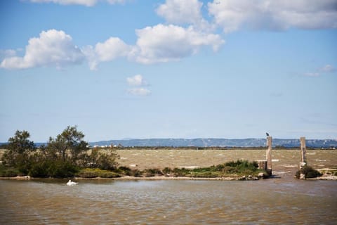 Ibis Marseille Marignane Technopole Hotel in Marignane