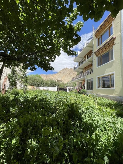 Property view